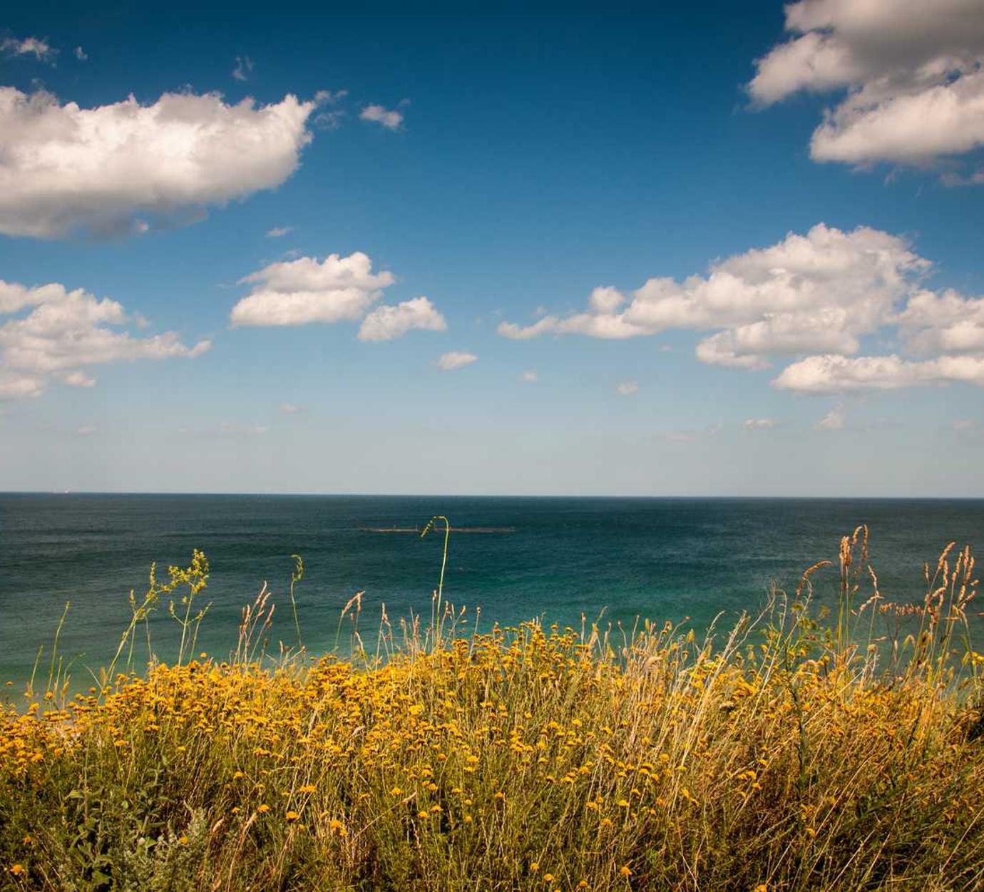 欧亚云实名账号：什么平台全民购买茅台