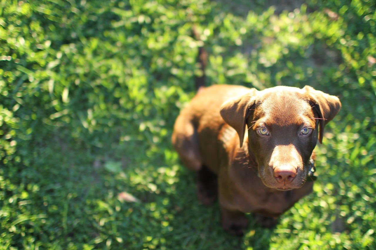 如何通过网站结构的修改来提高SEO效果