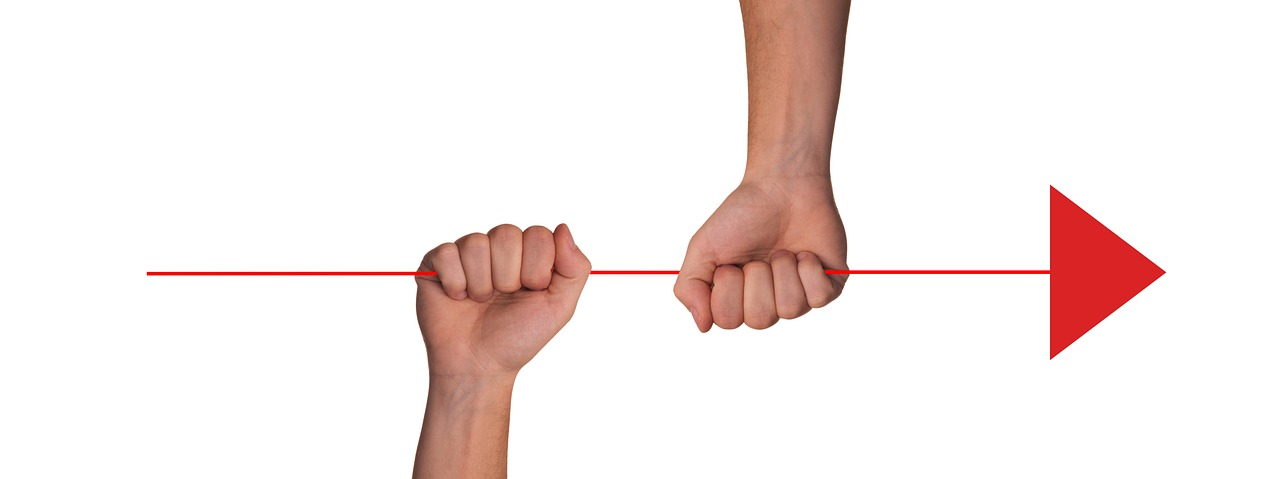 百合网实名账号:莆田植物购买平台