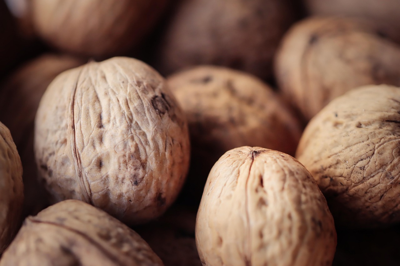 DDOS网页端平台|影视演示app详情下载教程