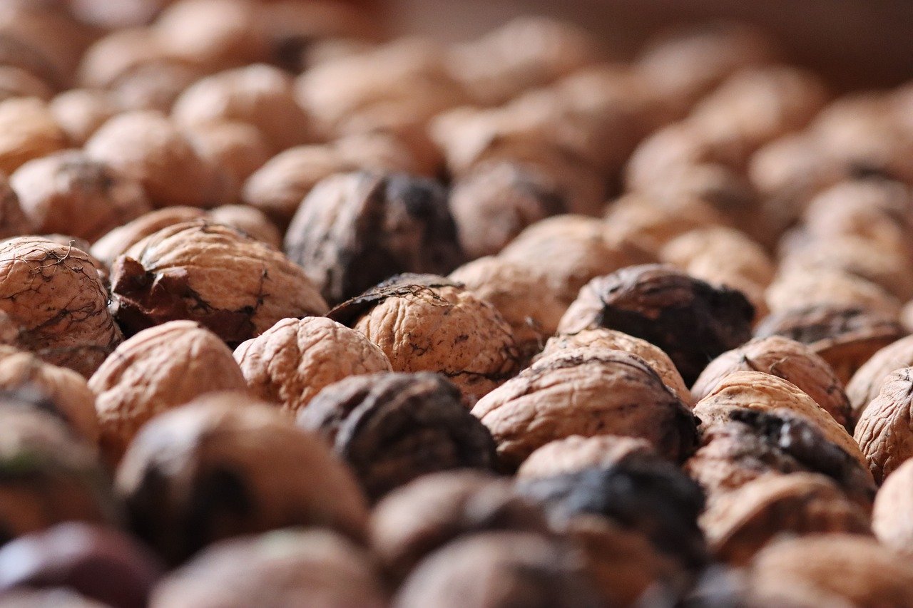 证券号在哪注册账号