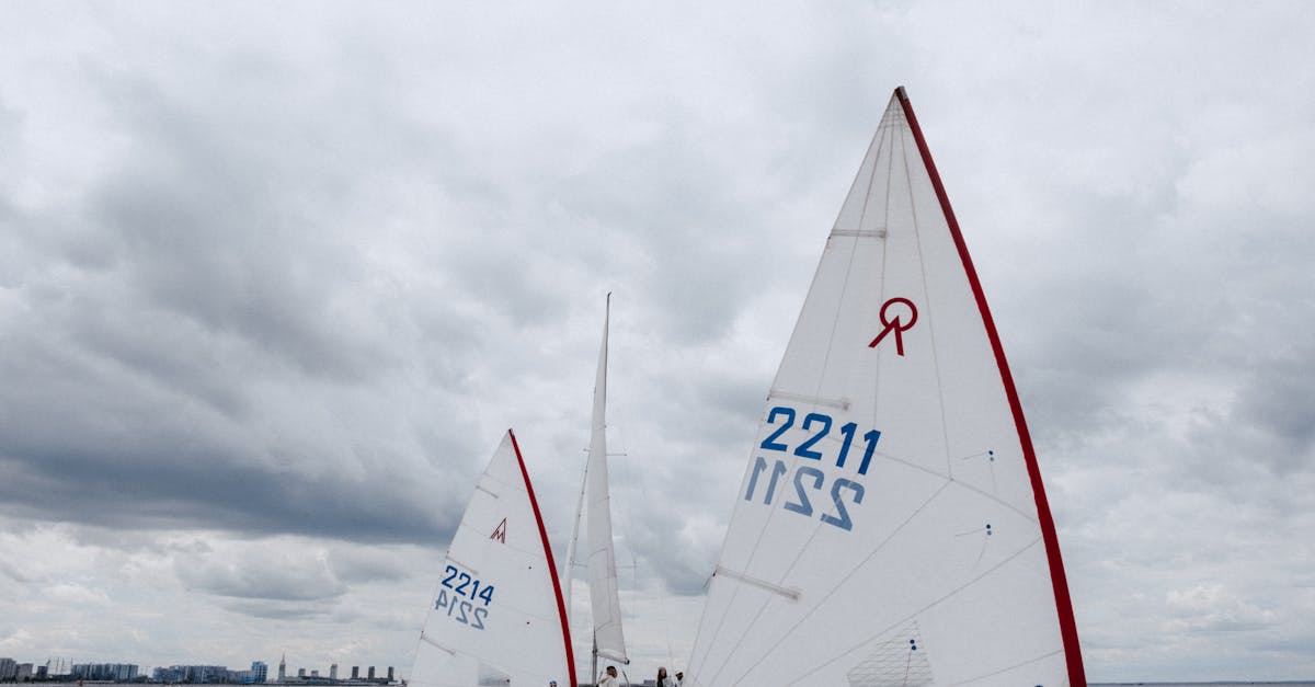 cc网页端|平阳企业财务代理平台电话