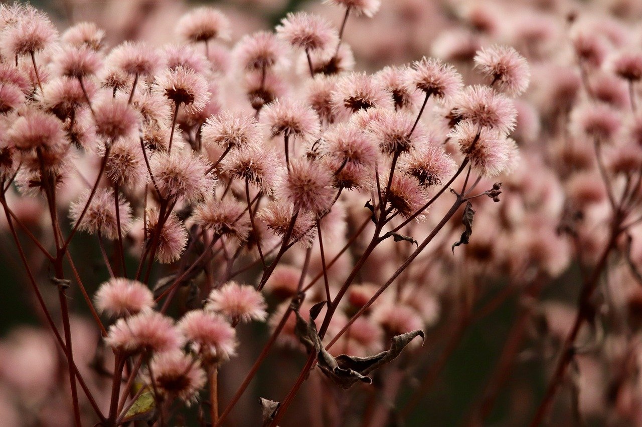 2号站高新区购买升降平台哪家好