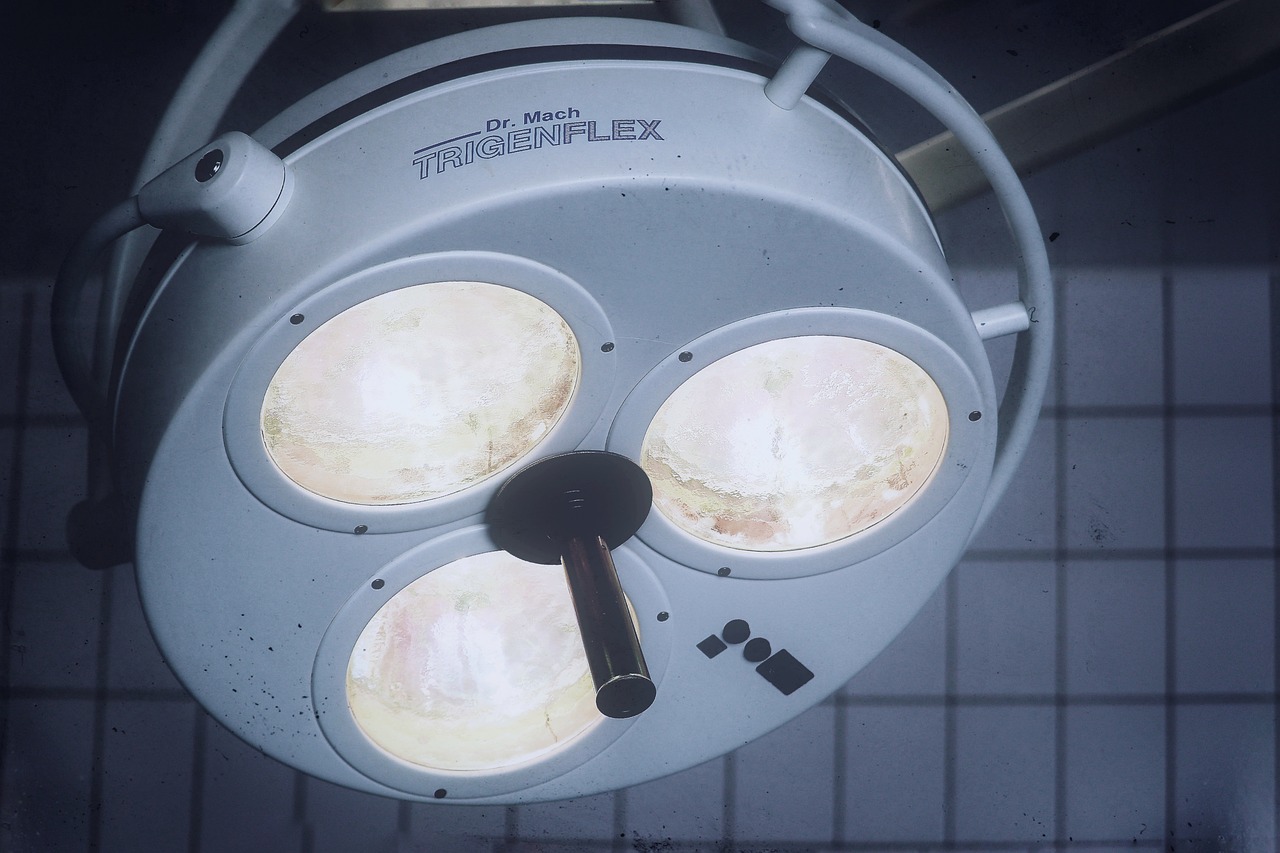 海豚之星南沙南沙代办注册公司代理