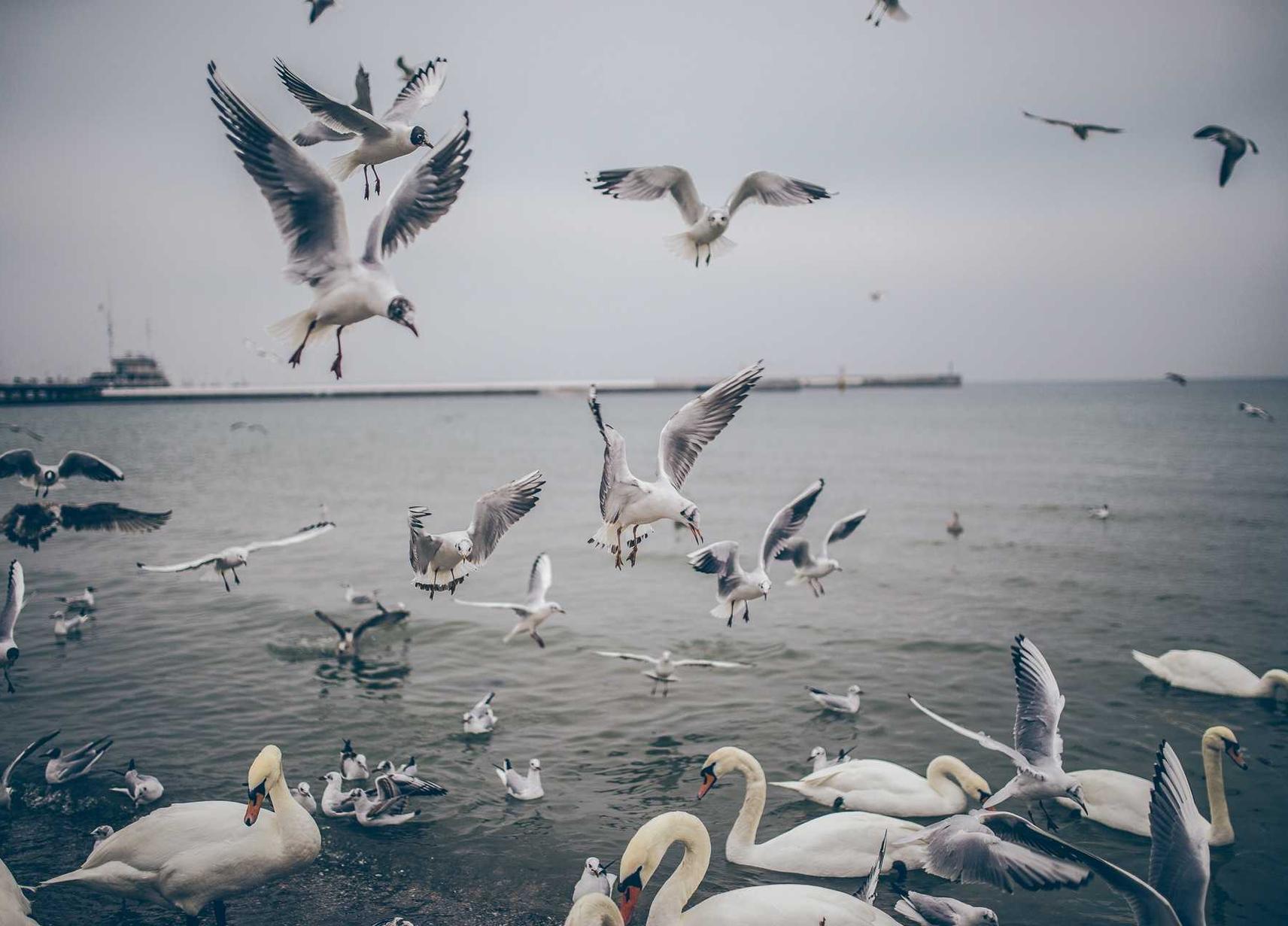 富达小说啊app详情下载教程